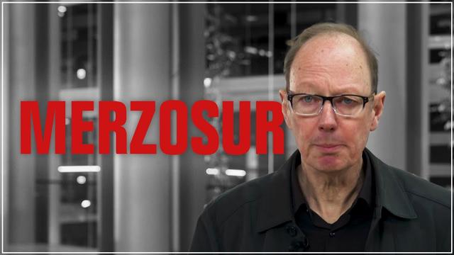 Einmal alles über Merzosur