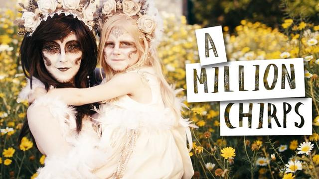 A MILLION CHIRPS || #RESPECTNATURE