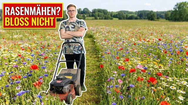Dein Start in den Naturgarten: Der Mähfreie Mai!