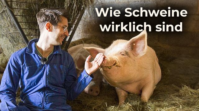 Was passiert, wenn Schweine einfach leben dürfen?