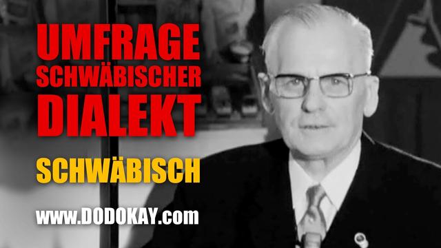 dodokay - Umfrage: Schwäbischer Dialekt - Die Welt auf Schwäbisch