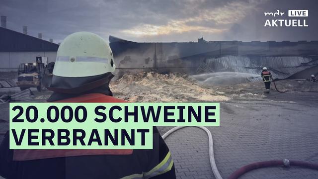 Großbrand in Mastanlage | MDR AKTUELL live