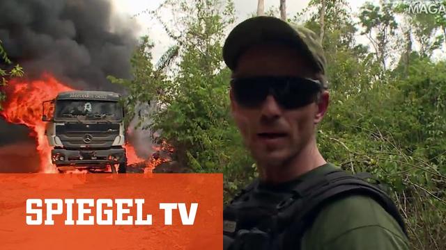 Kahlschlag im brasilianischen Regenwald: Unterwegs mit einem Sondereinsatzkommando | SPIEGEL TV