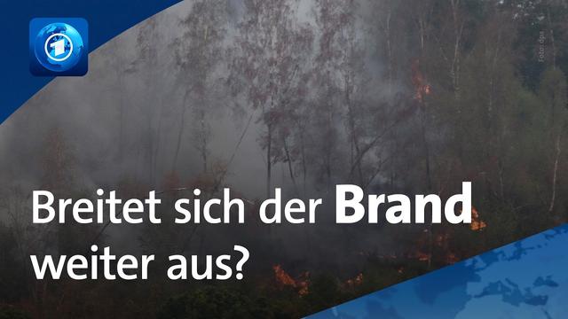 Regierung von NRW warnt Bevölkerung: „Gehen Sie nicht mehr in die Wälder“