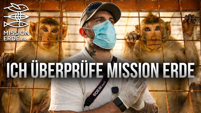 Echter Tierschutz oder nur Show? Monkey Rehabilitation Center auf Bali | KUNI