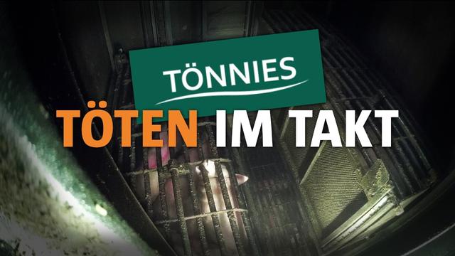 DIE GRAUSAMSTE MASCHINE BEI TÖNNIES