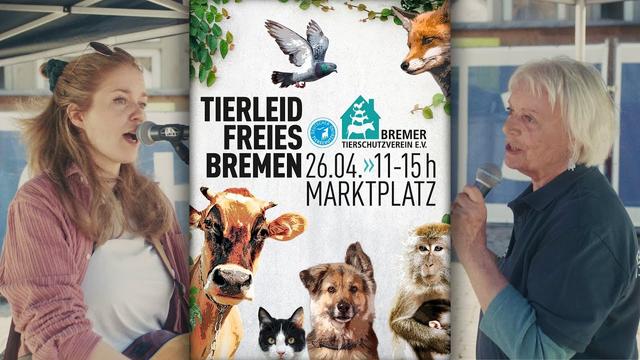 Tierleidfreies Bremen 2025 (4K)