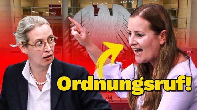 Janine Wissler ZERLEGT AfD GNADENLOS!