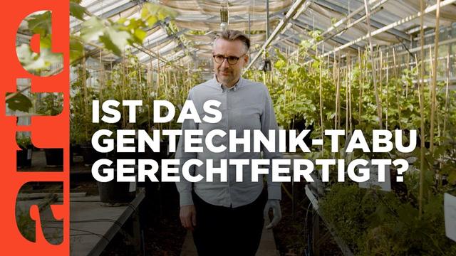 Gentechnik in der Biolandwirtschaft? | Agree to Disagree! | ARTE