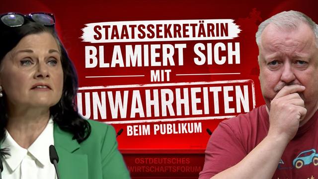 Fassungsloses Schweigen auf dem Wirtschaftsforum über Connemanns Strompreis-Märchen