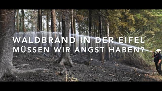 NRWs größter Waldbrand aller Zeiten - Waldkurzwissen