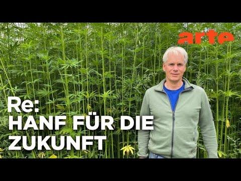 Die Rückkehr der Hanffaser | ARTE Re: