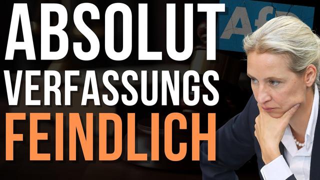 Gericht liefert perfektes Argument für ein AfD-Verbot!