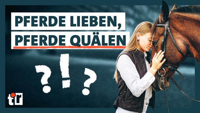 Reitsport – Business und Gewalt an Pferden | Doku | Team Recherche