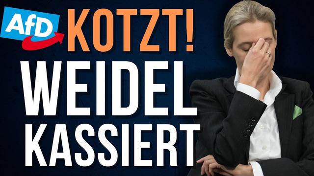 AfD Fans verstehen nicht, dass sie gerade beschissen werden 