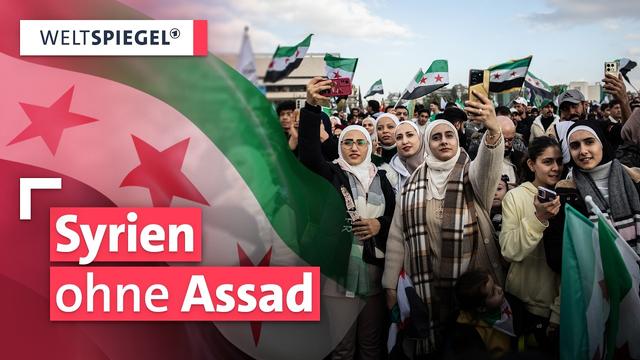 Zurück aus Deutschland. Syrien ein Land zwischen Trümmer und Hoffnung | Weltspiegel