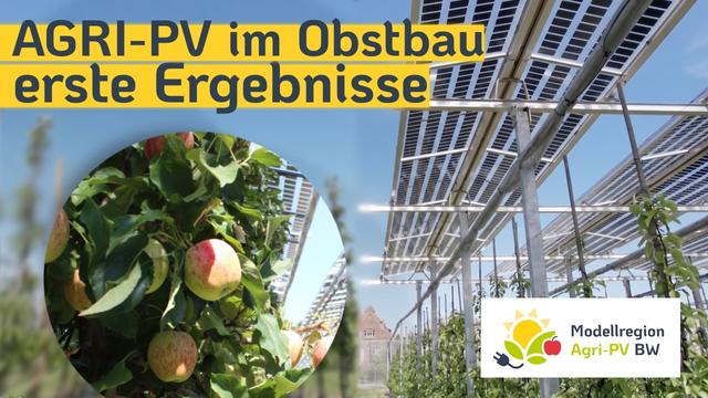 Äpfel, Birnen und Solarstrom – erste Ergebnisse am LTZ Augustenberg