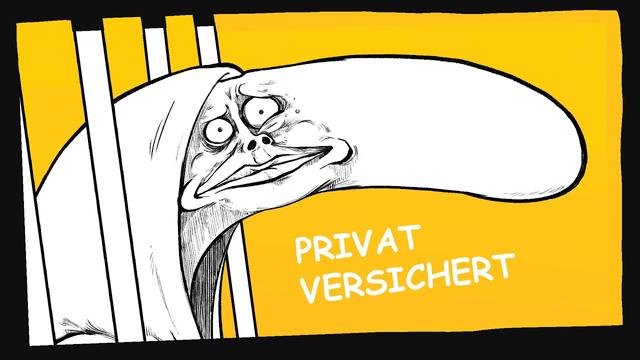 ich bin dumm und privatversichert
