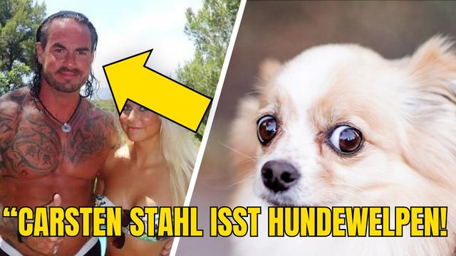 AfD WÄHLERIN Kann Kein Deutschen TUGENDEN nennen und CARSTEN STAHL Will Fahrradfahren.