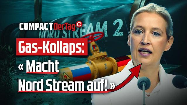 Gas-Kollaps: «Macht Nord Stream auf!»💥