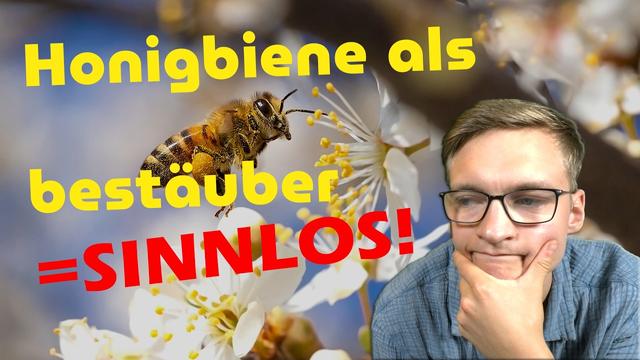 Brauchen wir Honigbienen als Bestäuber?