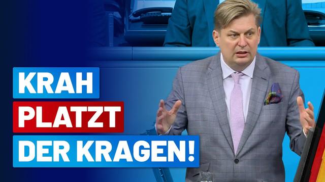 Europa besteht nicht nur aus Paris & Berlin! - Dr. Maximilian Krah - AfD-Fraktion im Bundestag