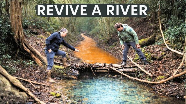 They Copied Beavers To Restore This River - here’s why
