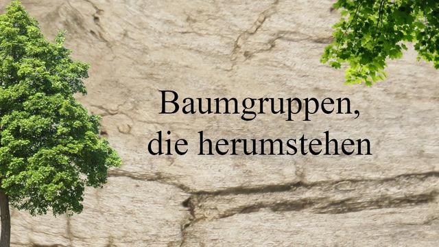 Geschichte des Waldes - Baumgruppen, die herumstehen