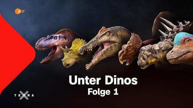 Dino Geheimnis: Lebte das Triceratops-Mädchen "Clover" allein? | Terra X