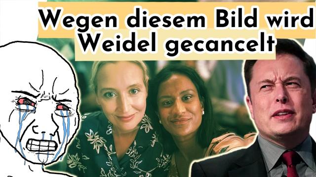 AfD + Trump Fans + Elon Musk gegen Alice Weidel