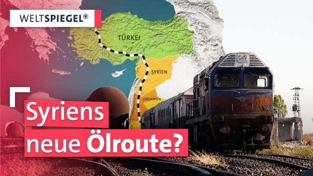 Neustart auf Schienen: Wie Syrien seine Eisenbahn zurückholen will | Weltspiegel