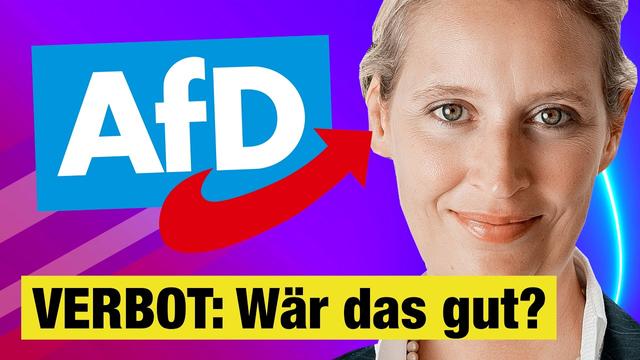 AfD-Verbot in Vorbereitung: Macht das Sinn?