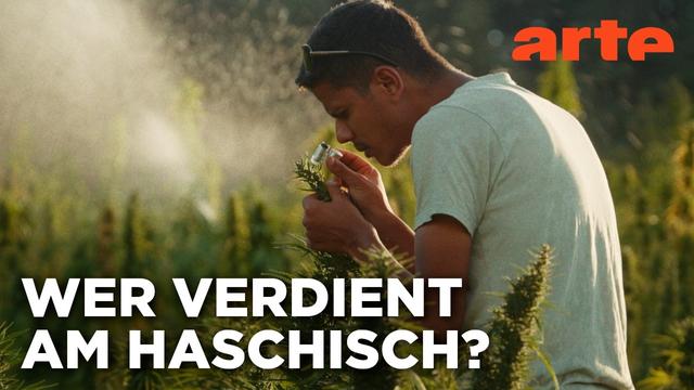 Kiff im Rif: Marokkos Cannabis-Wende | 360° Reportage | ARTE