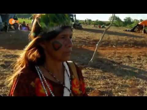 Gutes Soja, schlechtes Soja