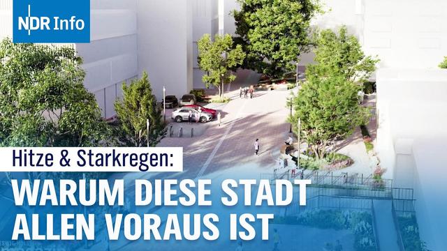 Hitzewellen und Starkregen: Schwammstadt - Entsiegelung statt Betonwüsten | NDR Info