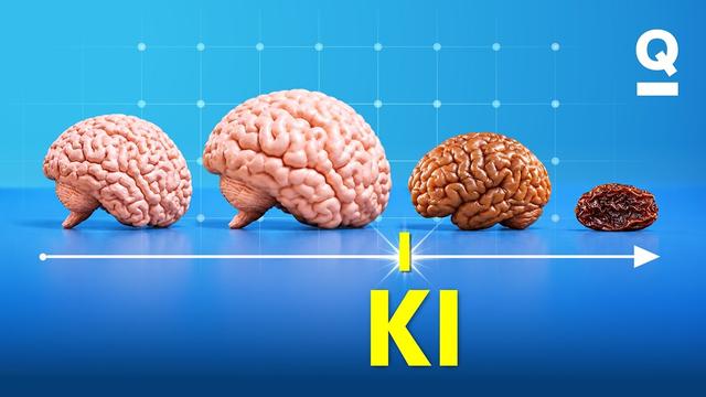 Lässt die KI unser Hirn verkümmern? | Studio Q