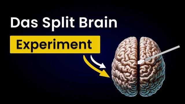 Split Brain Experiment: Du bist nicht Du