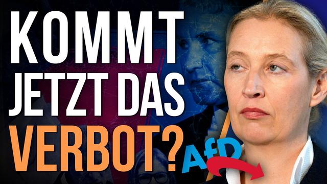 Gutachten: AfD ist verfassungsfeindlich und muss verboten werden