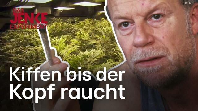 Jenke-Experiment: Zwischen High und Abhängigkeit - Fünf Tage im Cannabis-Paradies | RTL DOKU