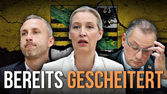 AfD in Schockstarre: Sie wollen doch gar nicht regieren