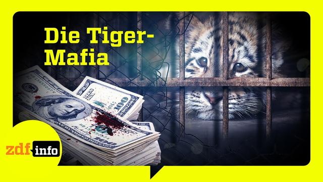 Undercover im illegalen Tierhandel: Das Milliardengeschäft der Wildtier-Mafia | ZDFinfo Doku