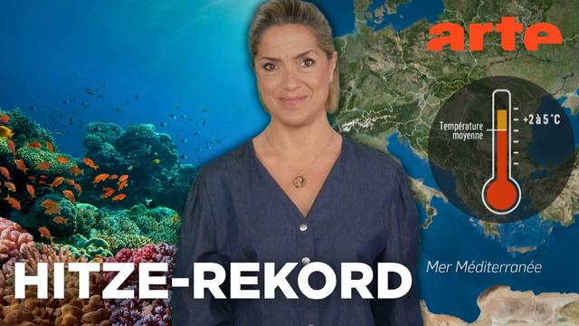 Hitzewelle: Die Folgen für die Meere | Mit offenen Karten - Im Fokus | ARTE Info