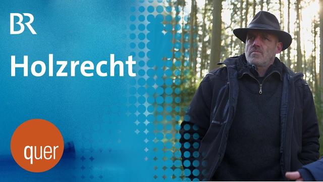 Holzrecht: Bayerische Tradition in Gefahr?  | quer vom BR