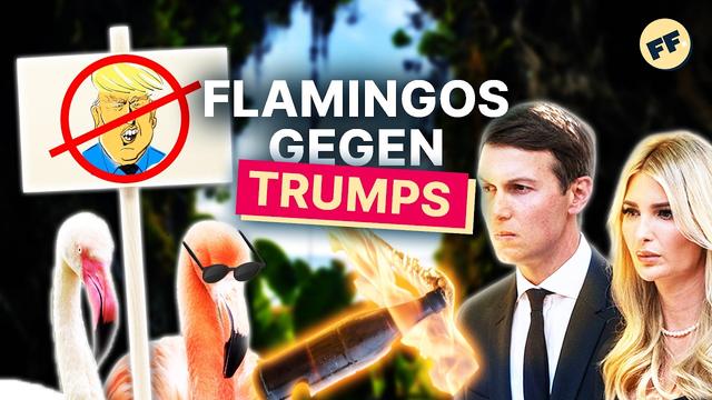 So absurd wird gerade ein Naturschutzgebiet gerettet | Fun Facts mit Sarah Hakenberg