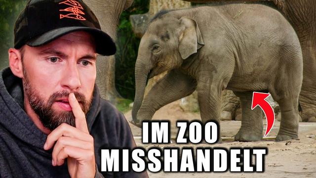 GRAUSAME WAHRHEIT über ELEFANTEN in ZOOS & größtes Elefantengehege in Berlin | Robert Marc Lehmann