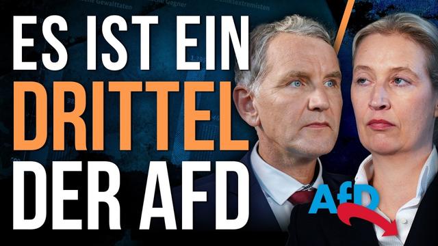 Die AfD hat Zehntausende Rechtsextremisten in der Partei