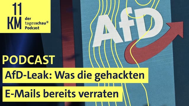 AfD-Leak: Was die gehackten E-Mails bereits verraten  I 11KM - der tagesschau-Podcast