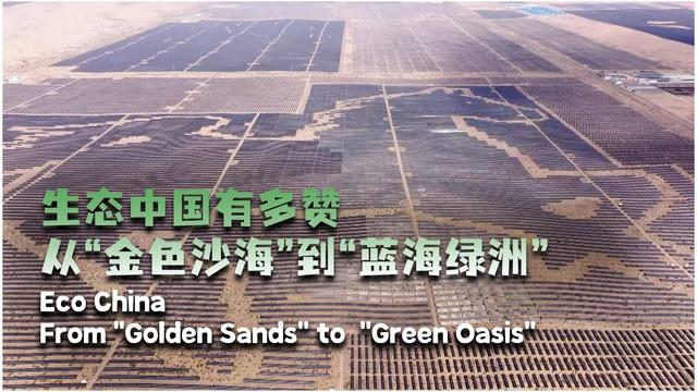 Eco China: From 'golden sands' to 'green oasis'