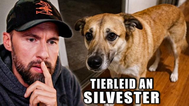 DAS passiert mit euren Tieren in der Silvesternacht..