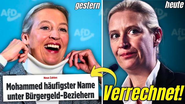 AfD zählt WAHLLOS Namen Zusammen! Neue Bürgergeld Namensliste Komplett HOHL.